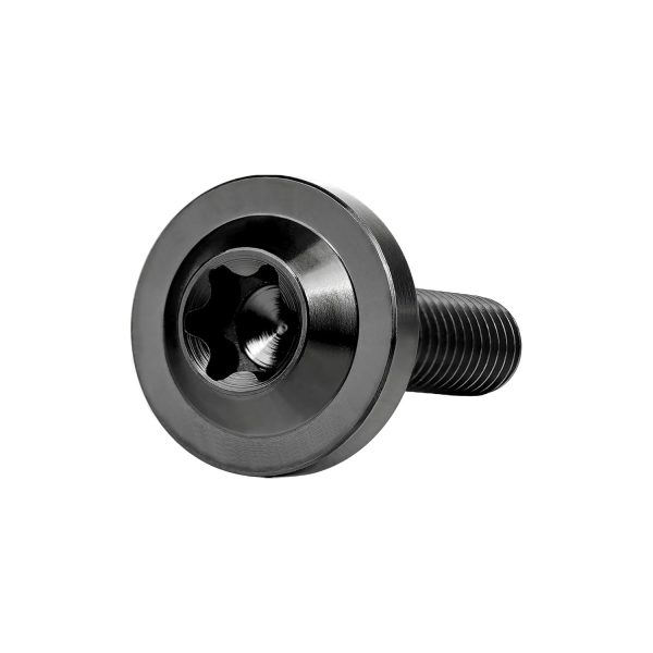 M6 Titanium Wheel Bolt Wanyifa Premium Hex Fastener-3